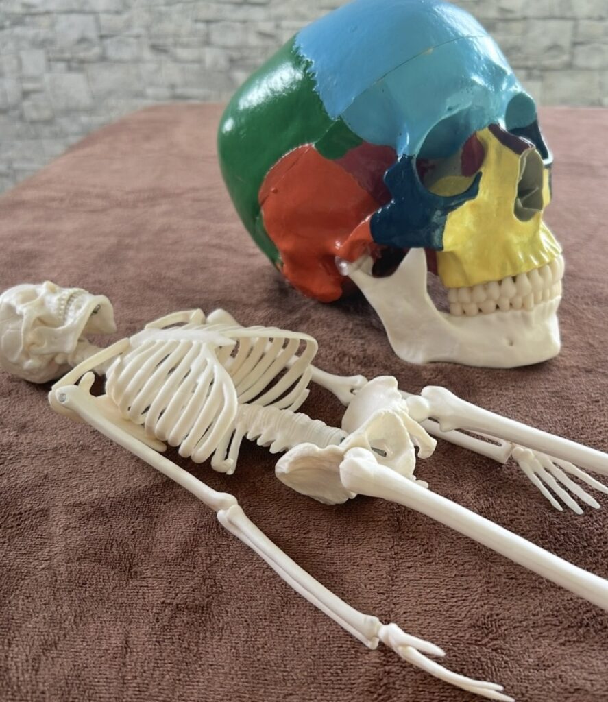 骨格調整って…痛くないの⁈⁈