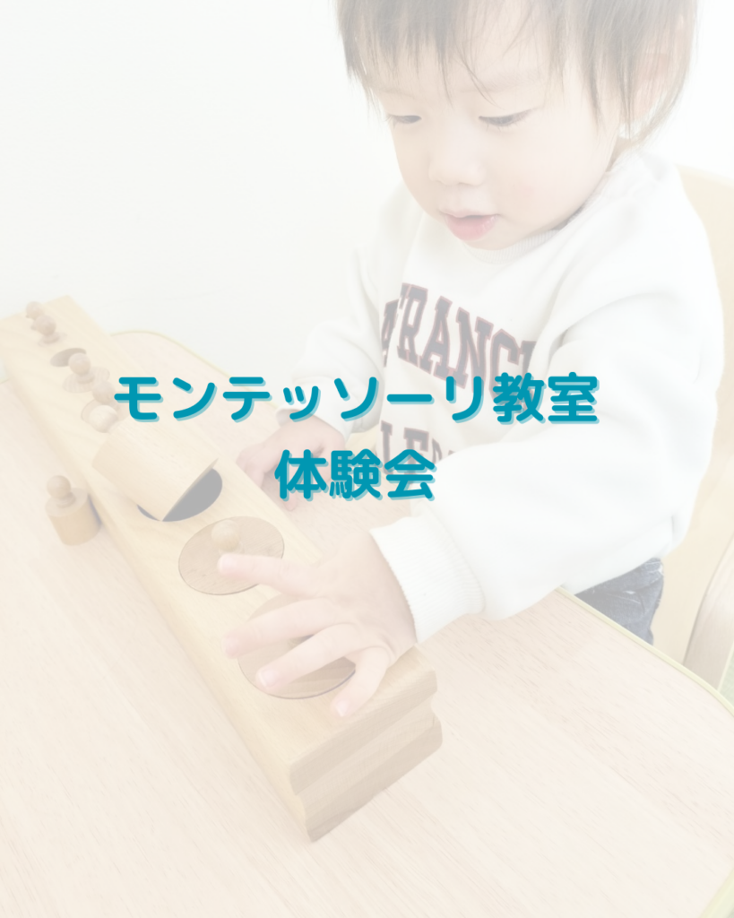 モンテッソーリ教室体験会🌱開催しました